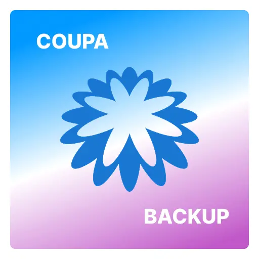 zoom backup cloud backup illustration